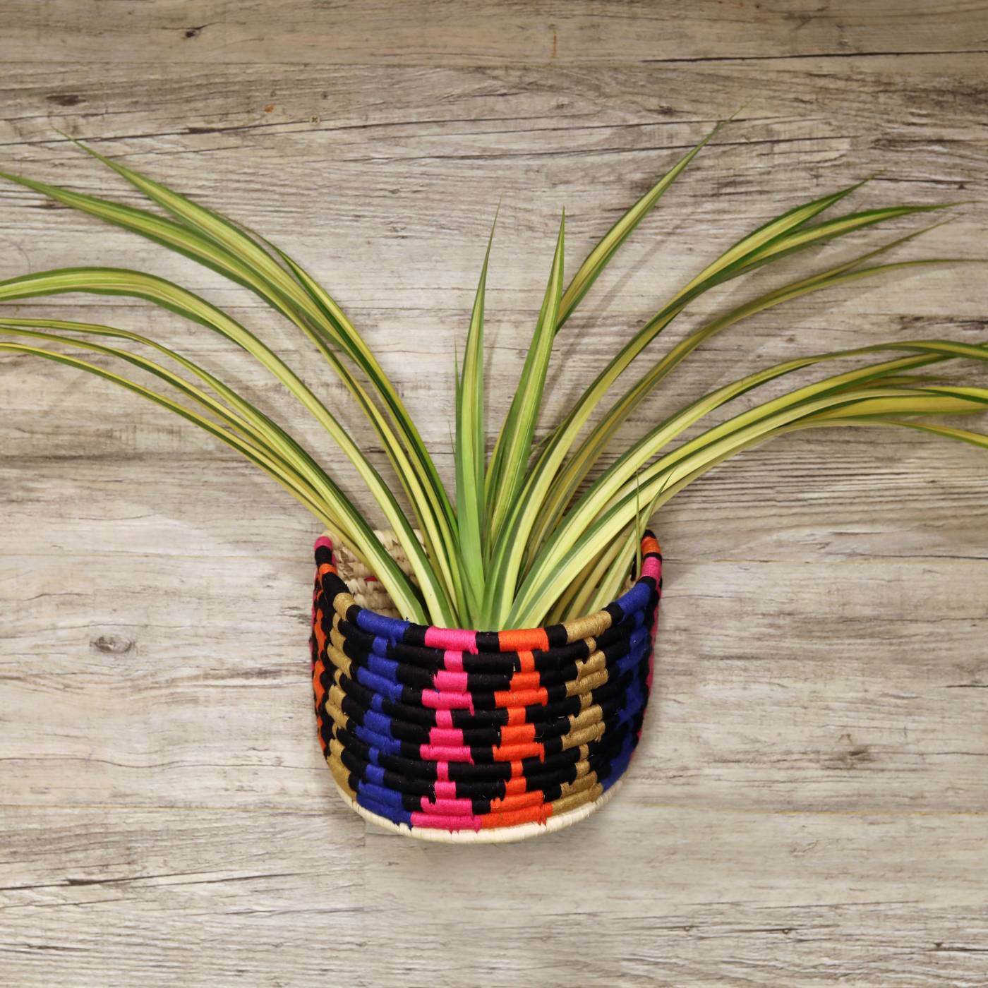 Woven Basket Planter