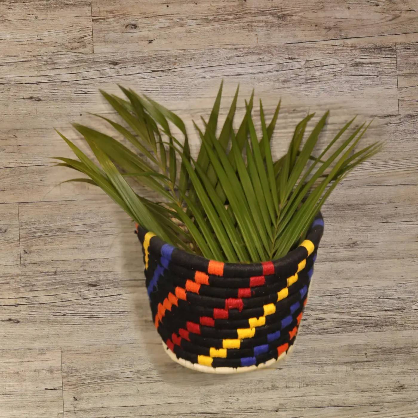 buy herb planter online
