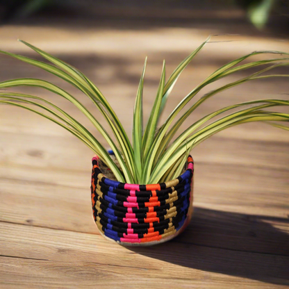 Woven Herb Planter