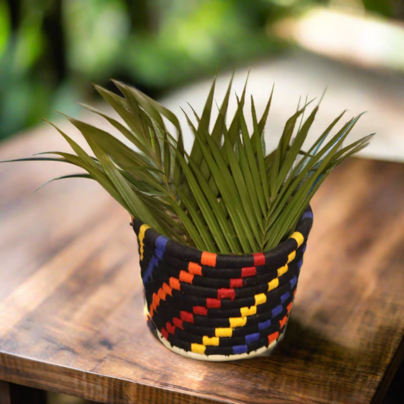 herb planter online